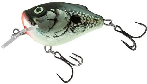 Salmo-Floating 6 Squarebill 6 cm 21 gr - Eggers Webshop-QSQ013-