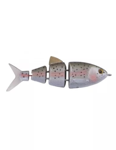 SPRO-BBZ-1 Shad 4" FS Rainbow Trout - Eggers Webshop-4865 1100-